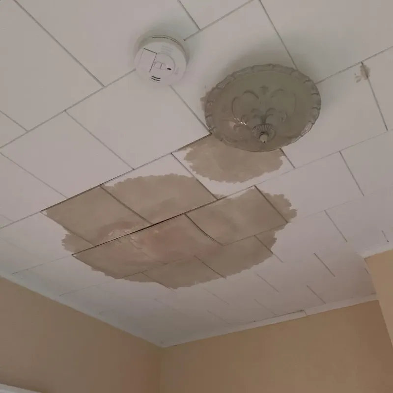 Ceiling Water Damage Repair in Lenoir City, TN