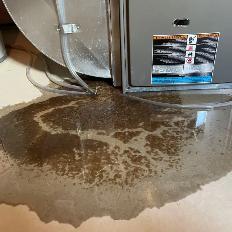 Pipe Burst and Leak Restoration in Lenoir City, TN